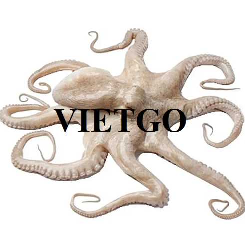 Thương vụ xuất khẩu mực và bạch tuộc sang thị trường Anh
