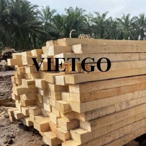 Thương vụ xuất khẩu gỗ cao su xẻ sang thị trường Ấn Độ