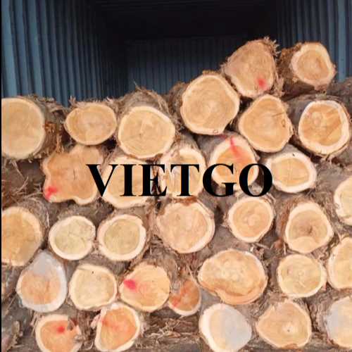 Thương vụ xuất khẩu gỗ teak tròn sang thị trường Ấn Độ 