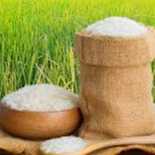 I want to buy rice