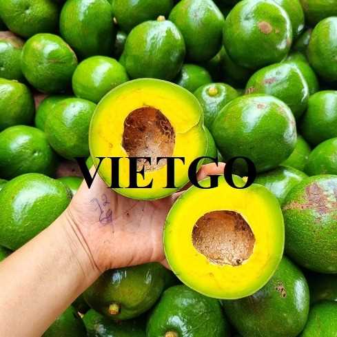 Cơ hội hợp tác xuất khẩu bơ đến thị trường Ả Rập Xê Út