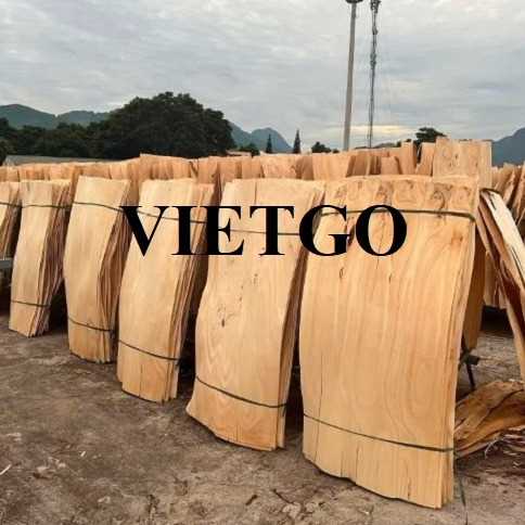 Thương vụ xuất khẩu ván bóc sang thị trường Ấn Độ