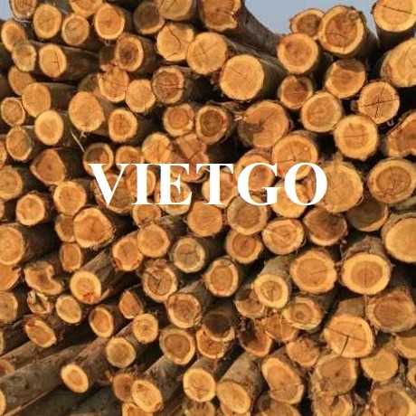 (Cập nhật phương thức báo giá) Thương vụ xuất khẩu gỗ keo tròn đến từ vị khách hàng người Úc