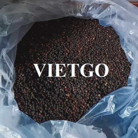 Cơ hội xuất khẩu hạt tiêu đen sang thị trường Ấn Độ