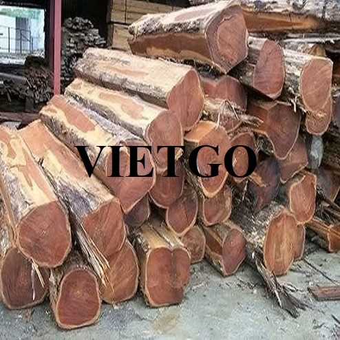 Thương vụ xuất khẩu sản phẩm gỗ teak sang thị trường Ấn Độ