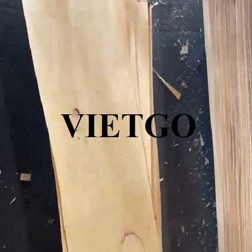 Thương vụ xuất khẩu sản phẩm ván bóc cao su và keo đến thị trường Ấn Độ
