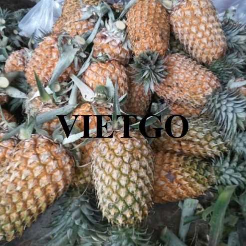 Cơ hội xuất khẩu dứa MD2 và Cayenne đến thị trường Li-băng 