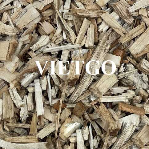 (Cập nhật thông tin đơn hàng) Thương vụ xuất khẩu gỗ vụn đến thị trường Trung Quốc và Ấn Độ