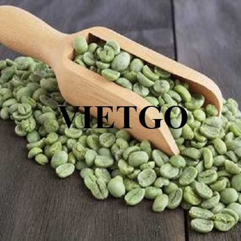Cơ hội xuất khẩu cà phê Robusta sang thị trường Bỉ và Morocco