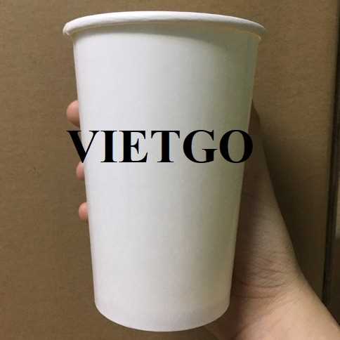 Cơ hội xuất khẩu cốc giấy sang thị trường Mỹ 
