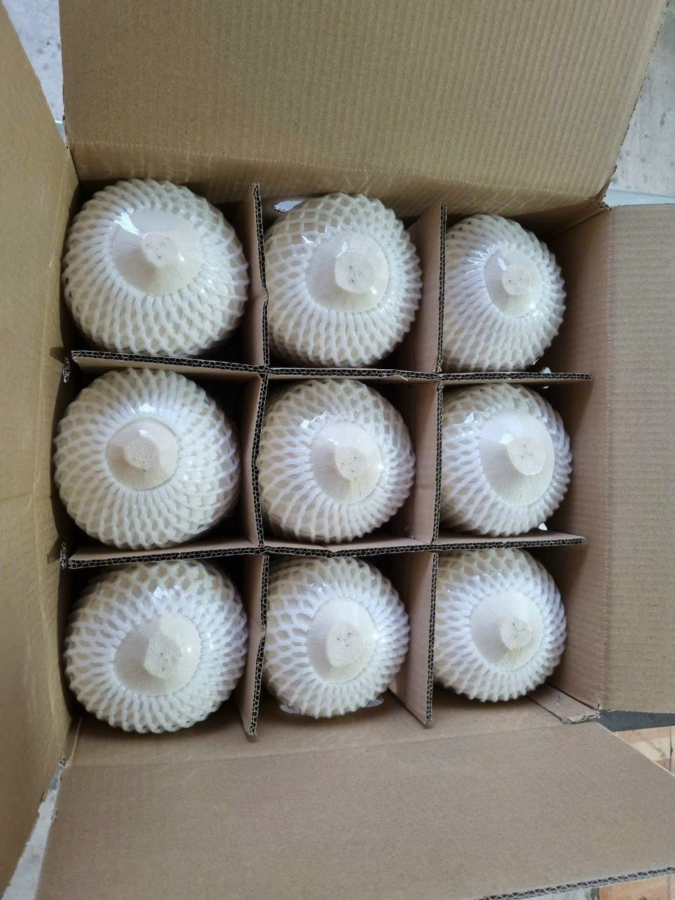 Cần tìm FWD báo giá cước vận tải hàng dừa đi Trung Quốc