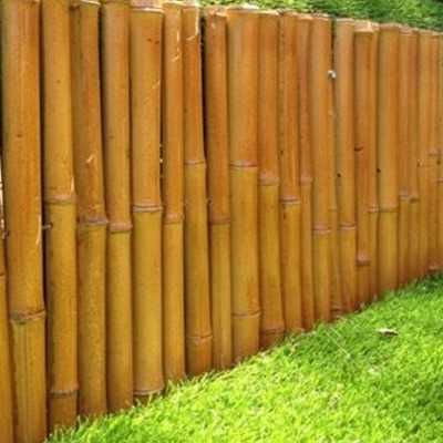 i'm looking bamboo fence