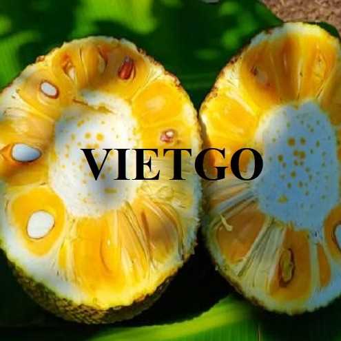 Cơ hội xuất khẩu mít sang thị trường Trung Quốc