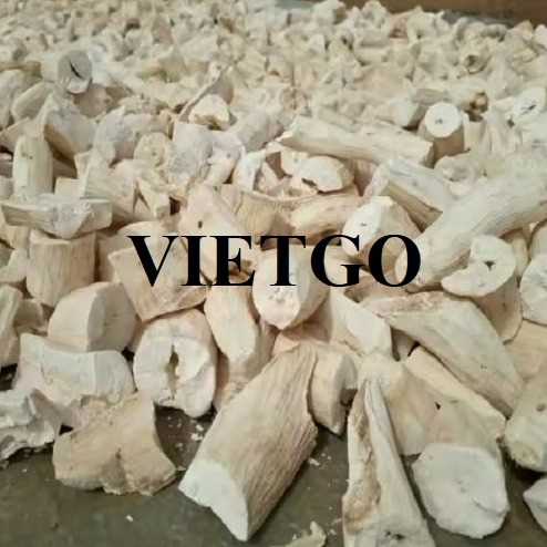 Cơ hội xuất khẩu sắn lát sang thị trường Ấn Độ