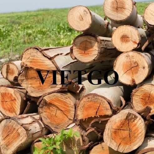 Cơ hội hợp tác xuất khẩu gỗ bạch đàn tròn tới thị trường Trung Quốc