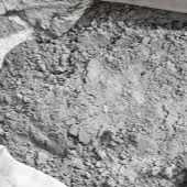 I want to buy cement