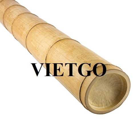 Đơn hàng hợp tác xuất khẩu gậy tre sang thị trường Ấn Độ