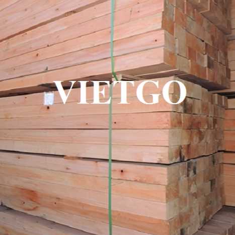 Thương vụ xuất khẩu gỗ bạch đàn đến thị trường Ấn Độ 