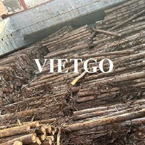 (Cập nhật thông số) Cơ hội hợp tác xuất khẩu gỗ bạch đàn tròn tới thị trường Ấn Độ