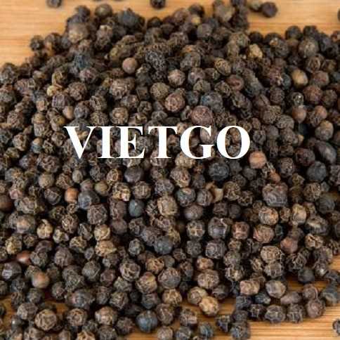 Cơ hội xuất khẩu hạt tiêu đen cùng vị khách hàng người Tây Ban Nha 