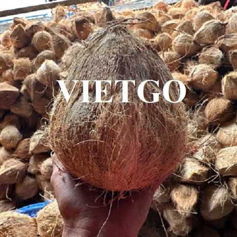 Thương vụ hợp tác xuất khẩu dừa khô lột vỏ đến thị trường Ả-rập Xê-út và UAE