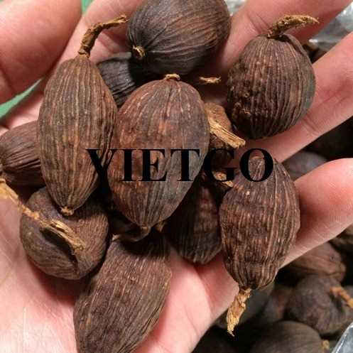 Cơ hội hợp tác xuất khẩu thảo quả đến thị trường Ấn Độ