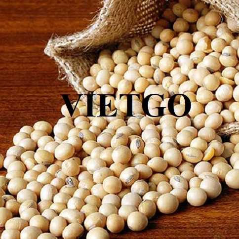 Cơ hội xuất khẩu đậu nành sang thị trường Vịnh Ba Tư