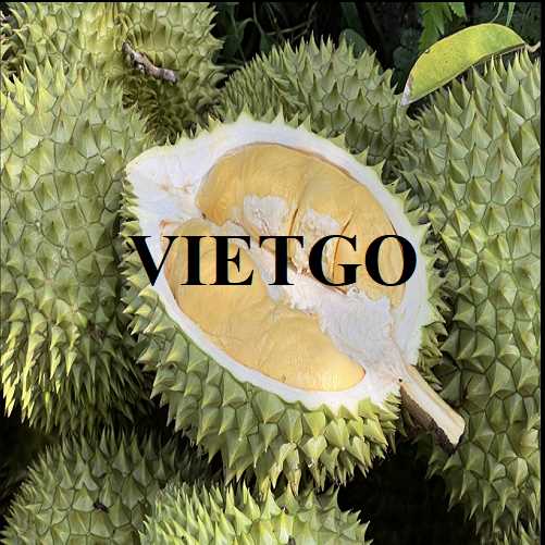 Cơ hội xuất khẩu sầu riêng sang thị trường Trung Quốc