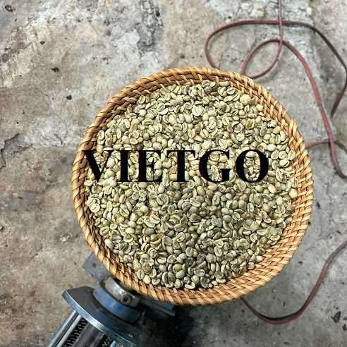 Cơ hội hợp tác xuất khẩu hạt cà phê xanh Arabica và Robusta sang thị trường Đức và Ukraine