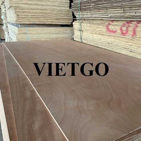 Thương vụ xuất khẩu gỗ dán sang thị trường Ai Cập