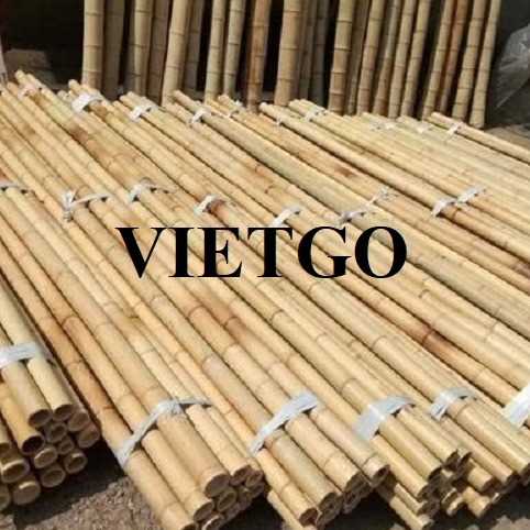 Đơn hàng xuất khẩu gậy tre cùng vị khách hàng người Tây Ban Nha