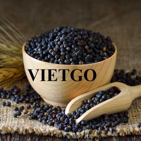 Cơ hội xuất khẩu hạt tiêu đen sang thị trường Ấn Độ 