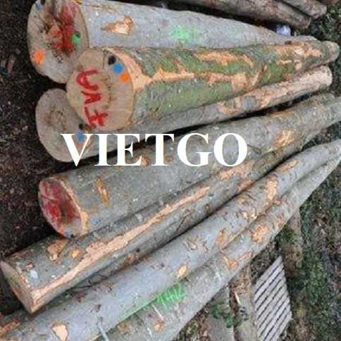 Thương vụ xuất khẩu sản phẩm gỗ dẻ gai tròn sang thị trường Hy Lạp