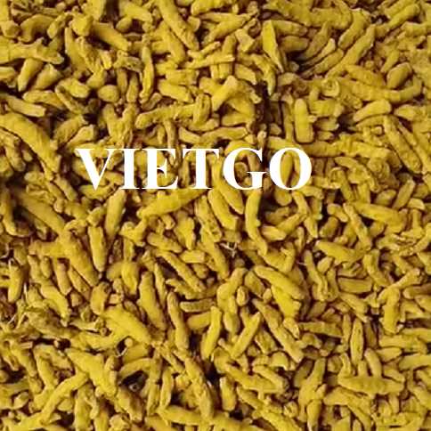 Cơ hội xuất khẩu nghệ khô nguyên củ sang thị trường Bangladesh
