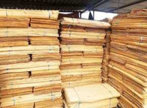 Tìm FWD cho đơn hàng ván bóc đi Ấn Độ