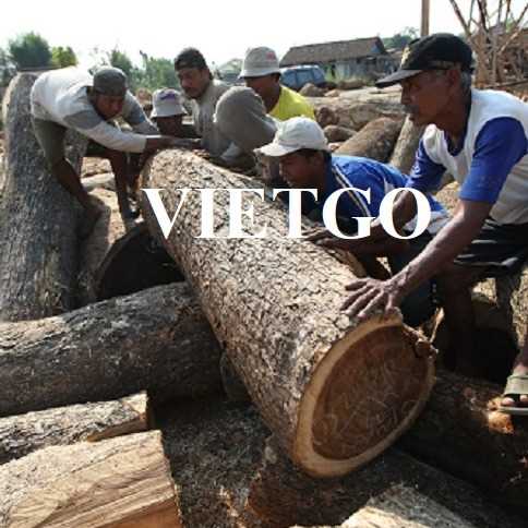 Thương vụ xuất khẩu sản phẩm gỗ teak tròn đến thị trường Ấn Độ