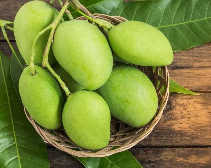 Cần tìm đơn vị FWD sản phẩm xoài sang Indonesia