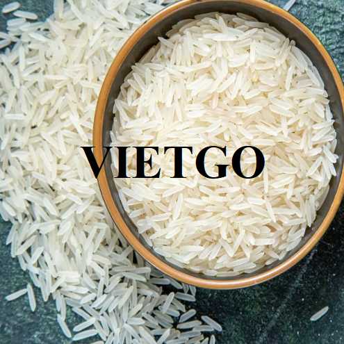 Cơ hội hợp tác xuất khẩu gạo đến thị trường Pháp  