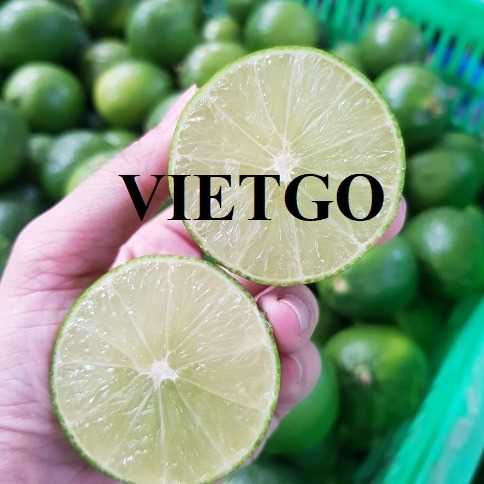 Cơ hội hợp tác xuất khẩu chanh đến thị trường Thổ Nhĩ Kỳ