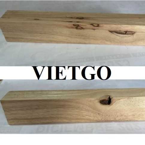 Cơ hội hợp tác xuất khẩu gỗ cao su xẻ tới thị trường Guatemala