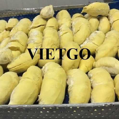 Cơ hội hợp tác xuất khẩu sầu riêng đến thị trường Trung Quốc