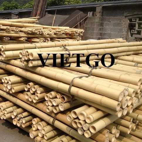 Đơn hàng xuất khẩu gậy tre sang thị trường Ấn Độ