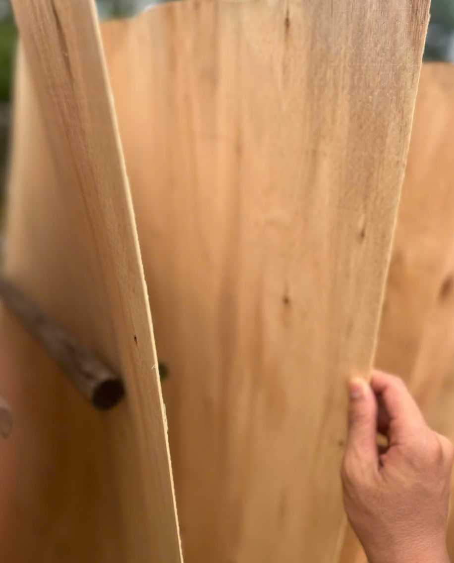 Cần tìm đơn vị vận tải sản phẩm Ván bóc sang Ấn Độ