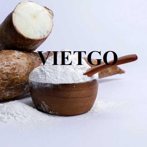 (Cập nhật đơn hàng) Cơ hội hợp tác xuất khẩu tinh bột sắn đến thị trường Trung Quốc 