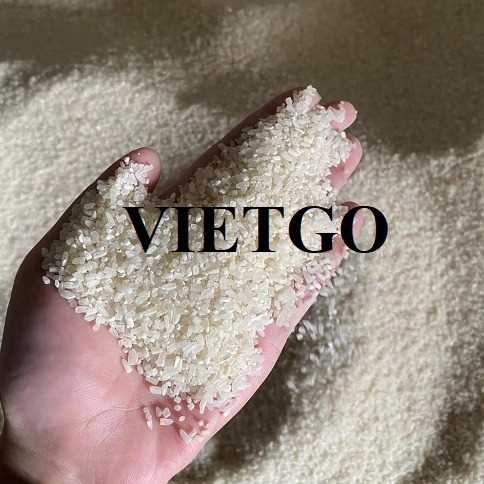 (Gấp) Cơ hội hợp tác xuất khẩu gạo tới Trung Quốc