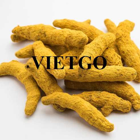 Cơ hội hợp tác xuất khẩu nghệ đến thị trường Bangladesh  