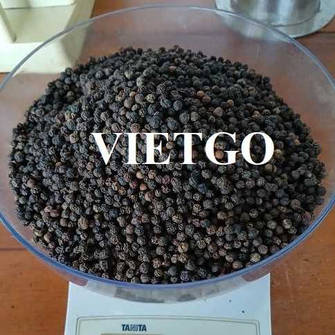 Cơ hội xuất khẩu hạt tiêu đen sang thị trường Georgia