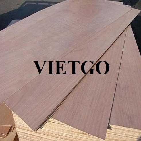 Đơn hàng hợp tác xuất khẩu gỗ dán sang thị trường Ấn Độ