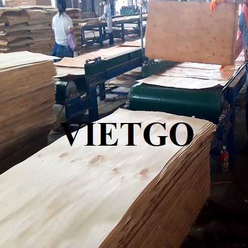 Thương vụ xuất khẩu ván bóc sang thị trường Ấn Độ 