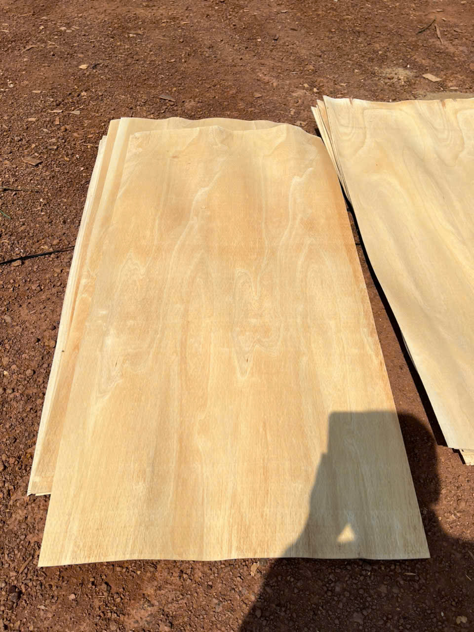 Cần tìm FWD báo giá cước vận tải báo giá cước vận tải đi Ấn Độ